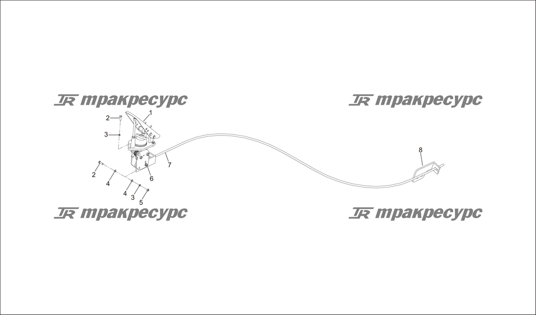 P000007.png