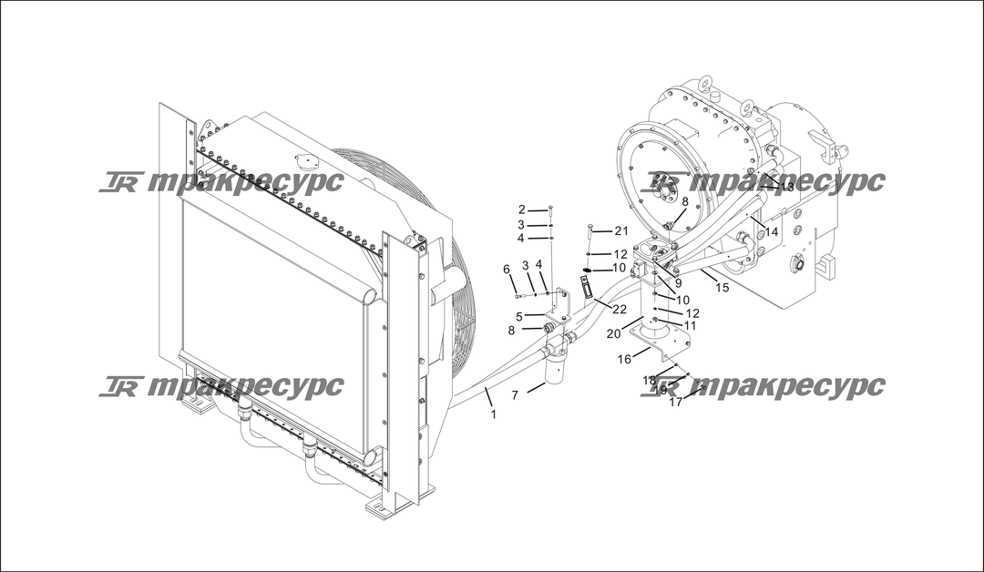 P000009.png