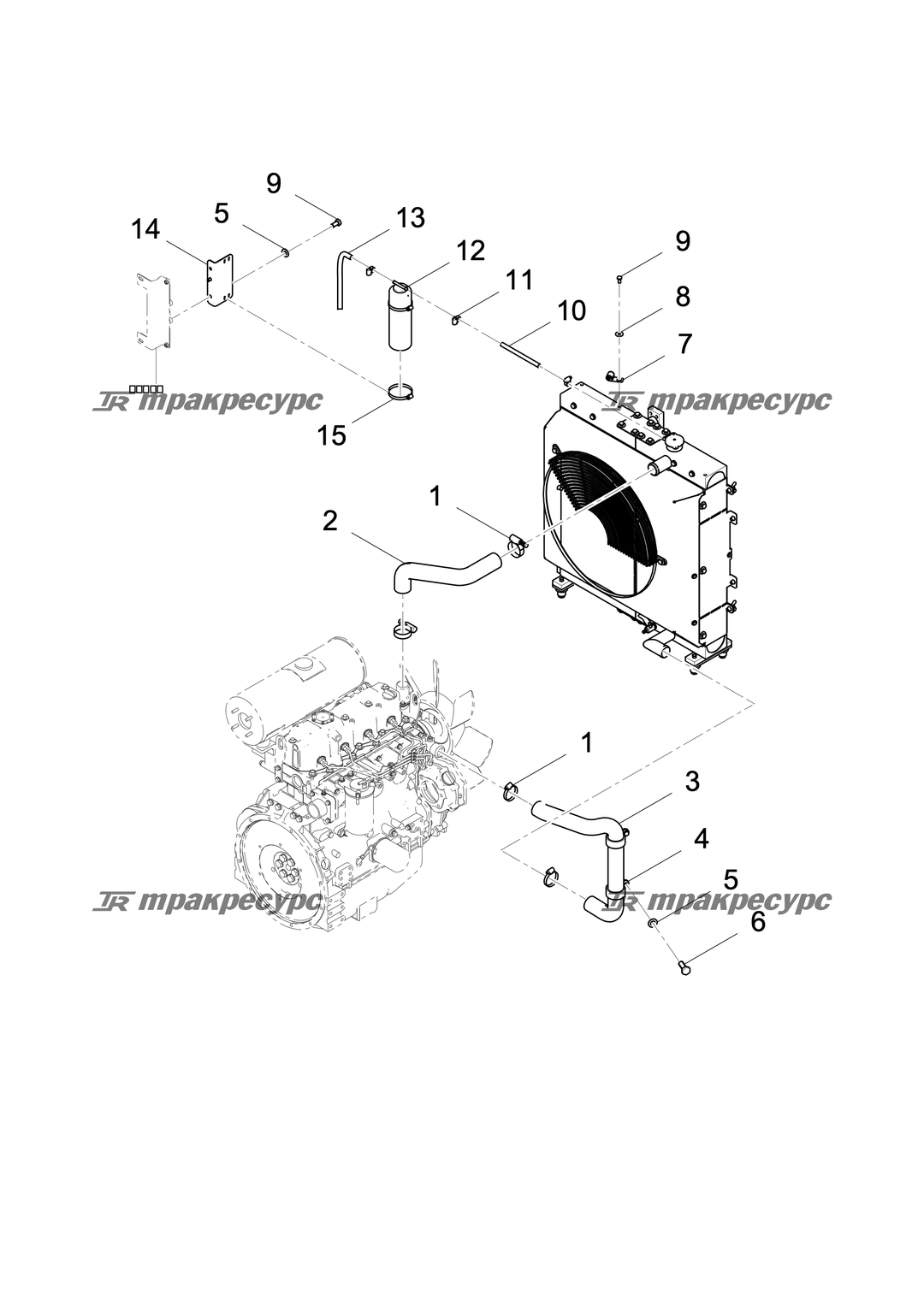 P000011142A2.png