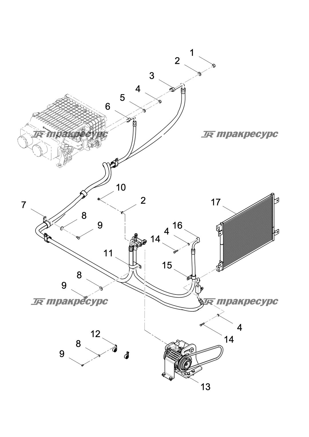 P000011262B3.png