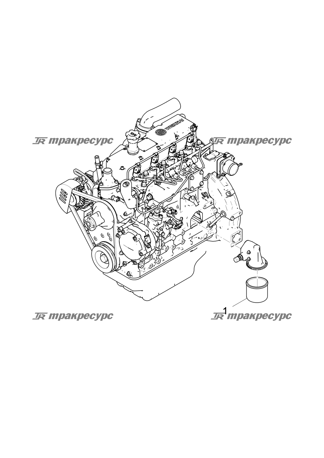 P000011382A2.png
