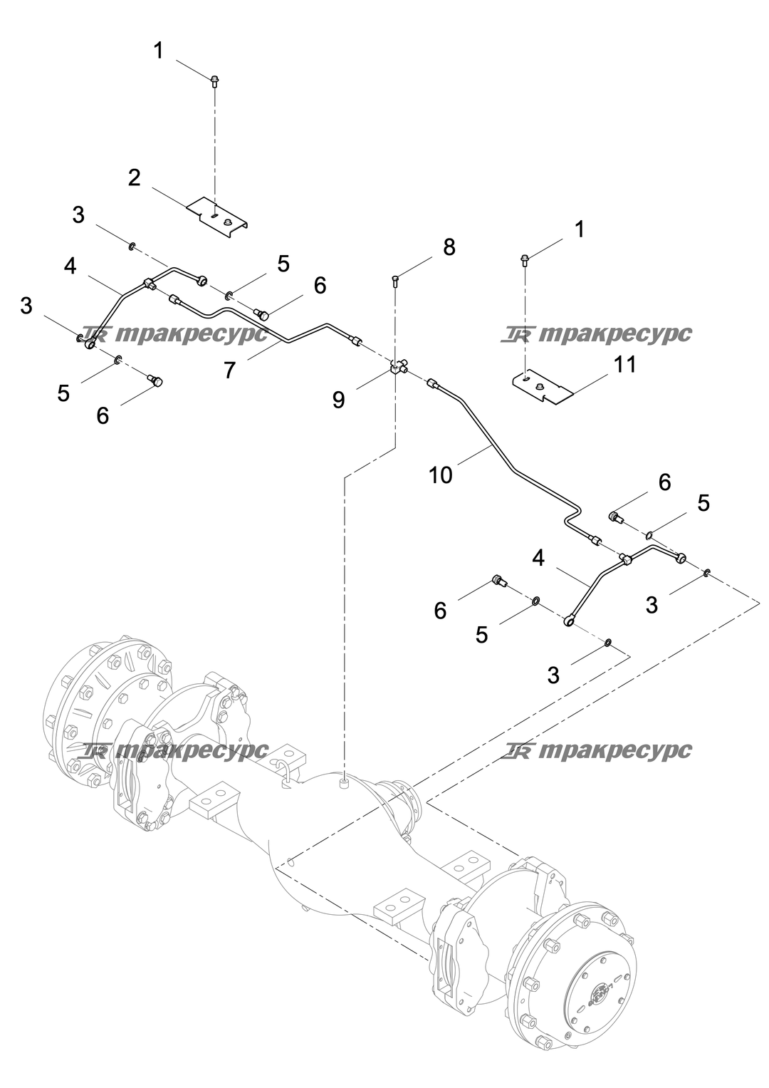 P000011704A2.png