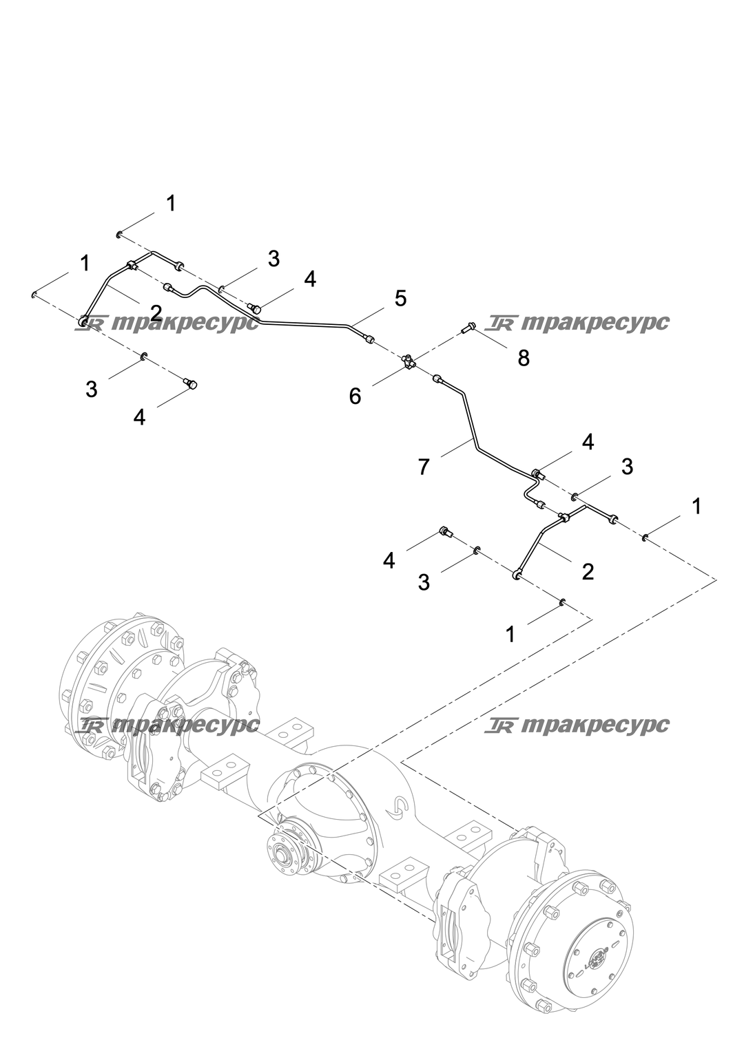 P000011744A2.png