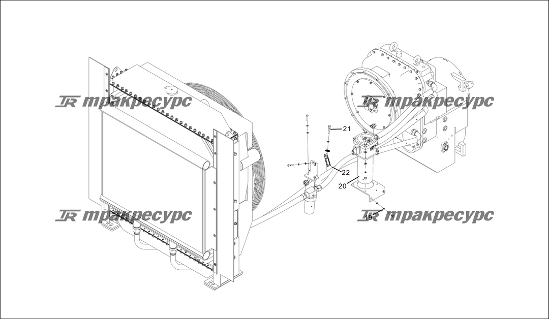 P000011.png