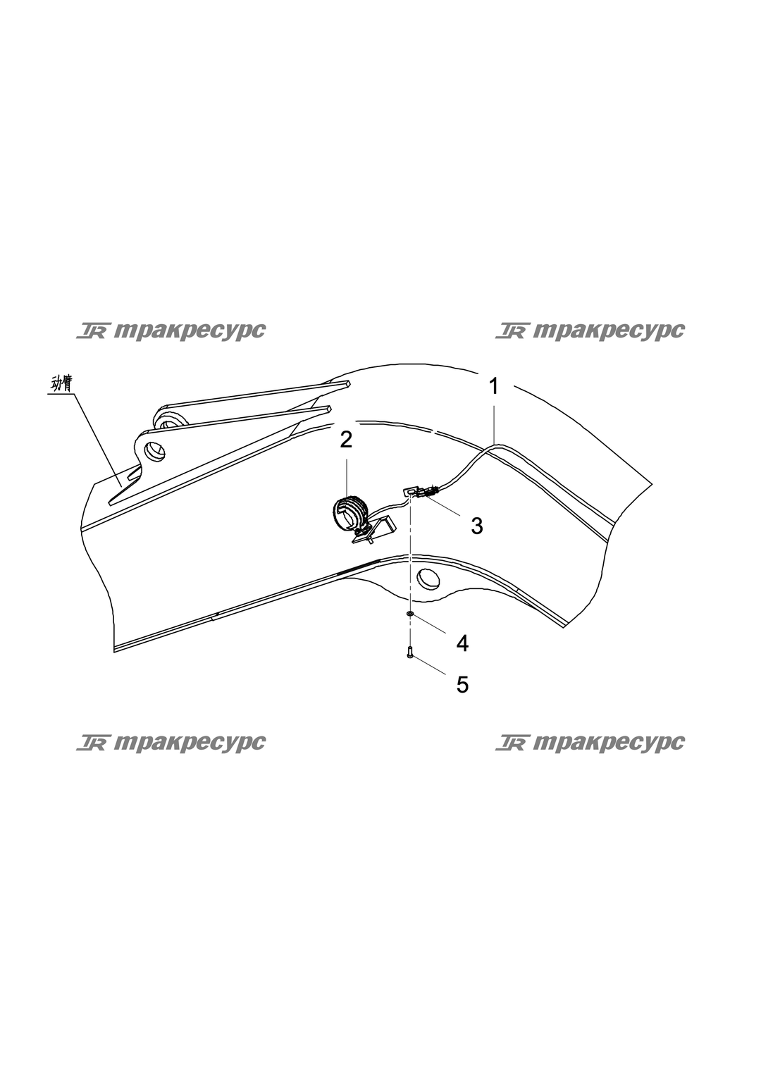 P000012703A2.png