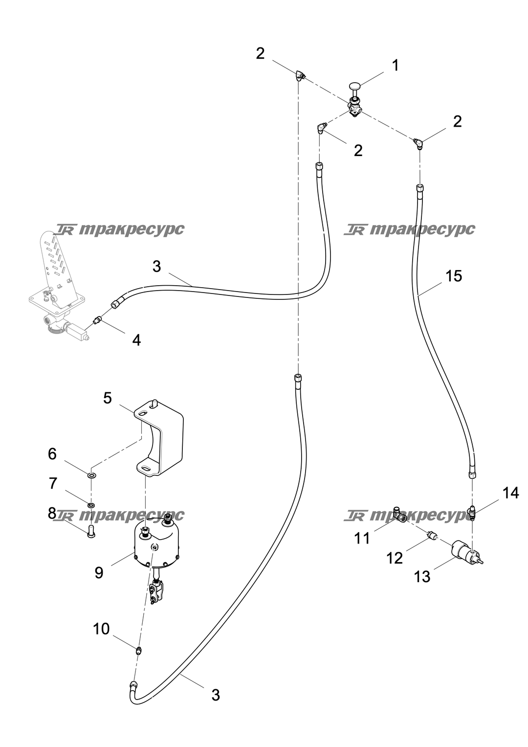 P000012782A2.png