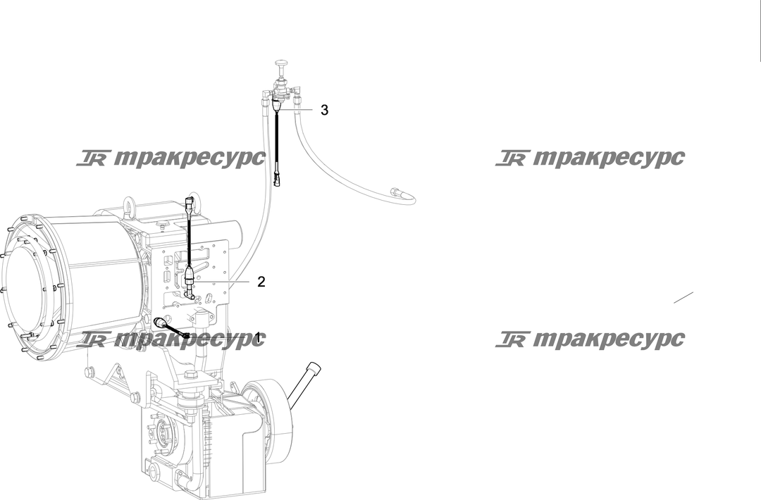 P000012884A2.png