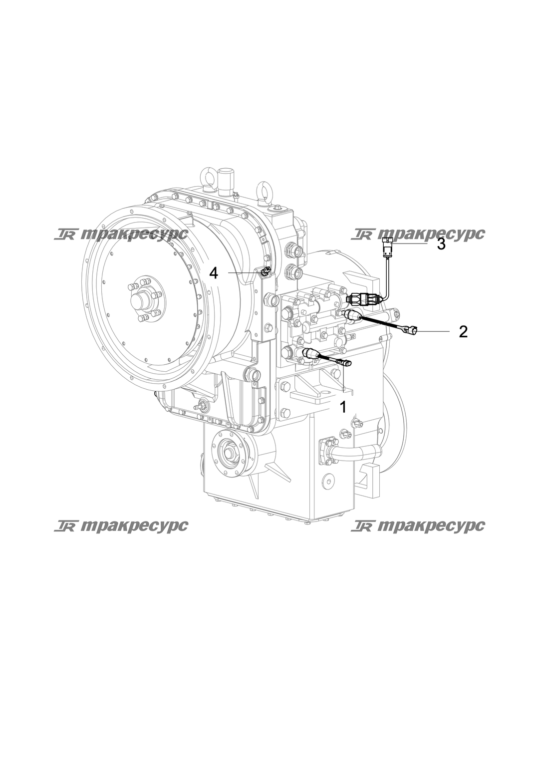 P000013006A2.png