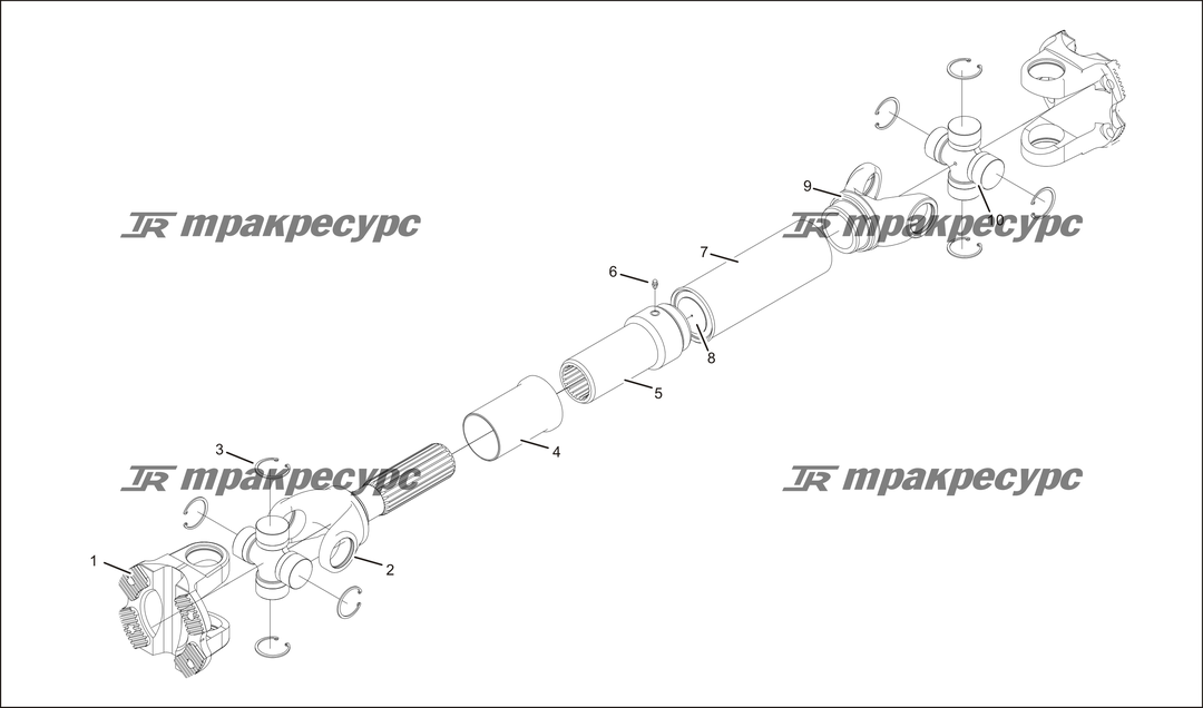 P000013.png