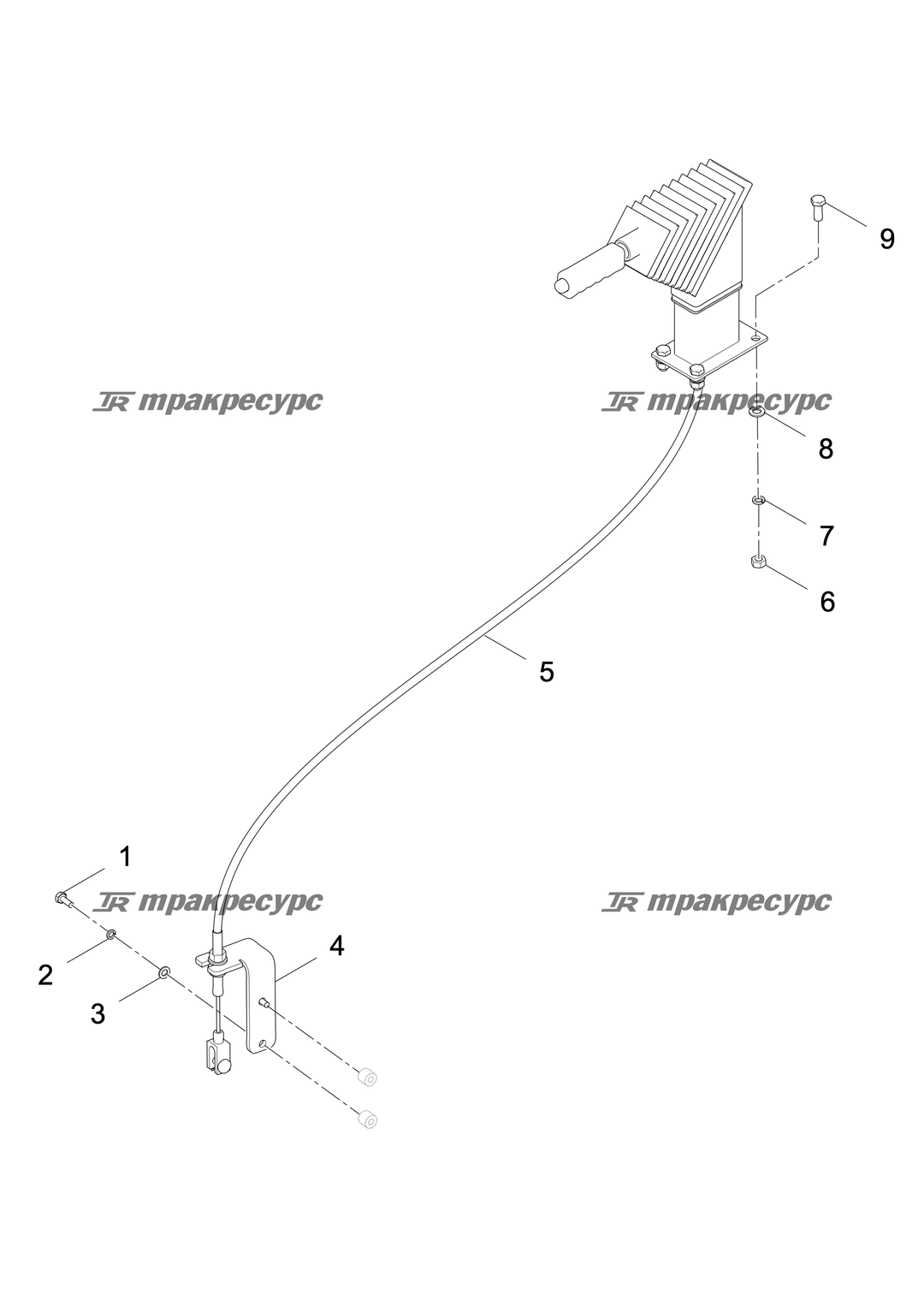 P000014122A2.png