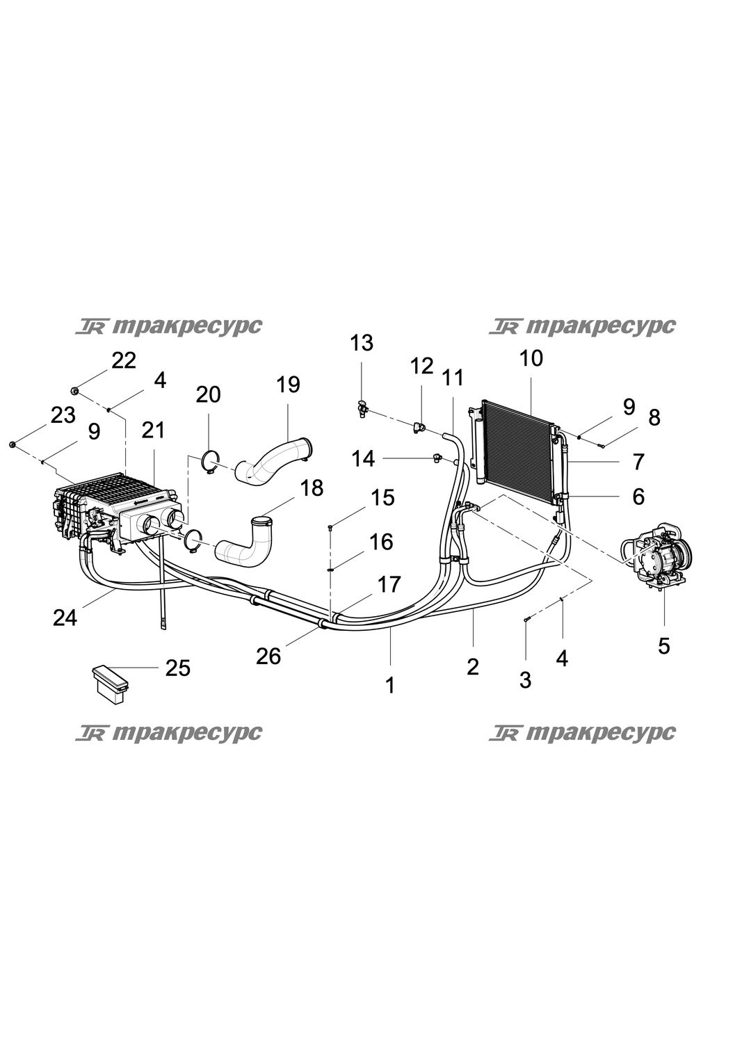 P000014582A4.png