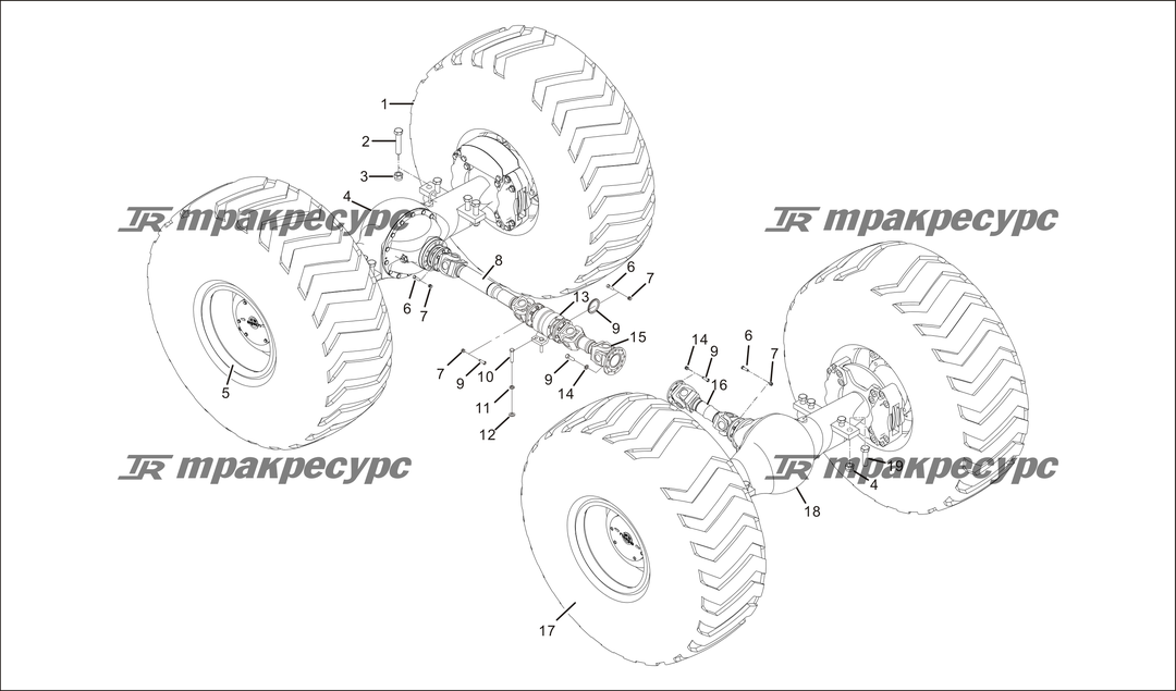 P000015.png