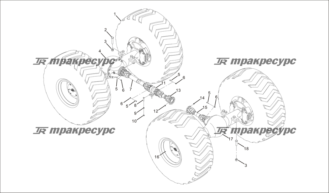 P000015.png