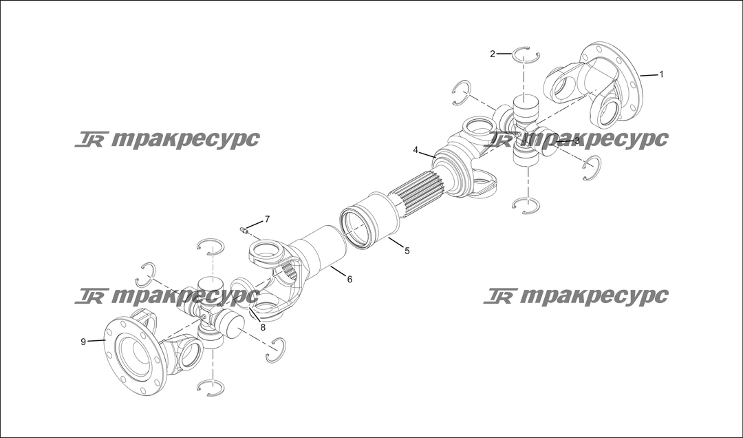 P000017.png