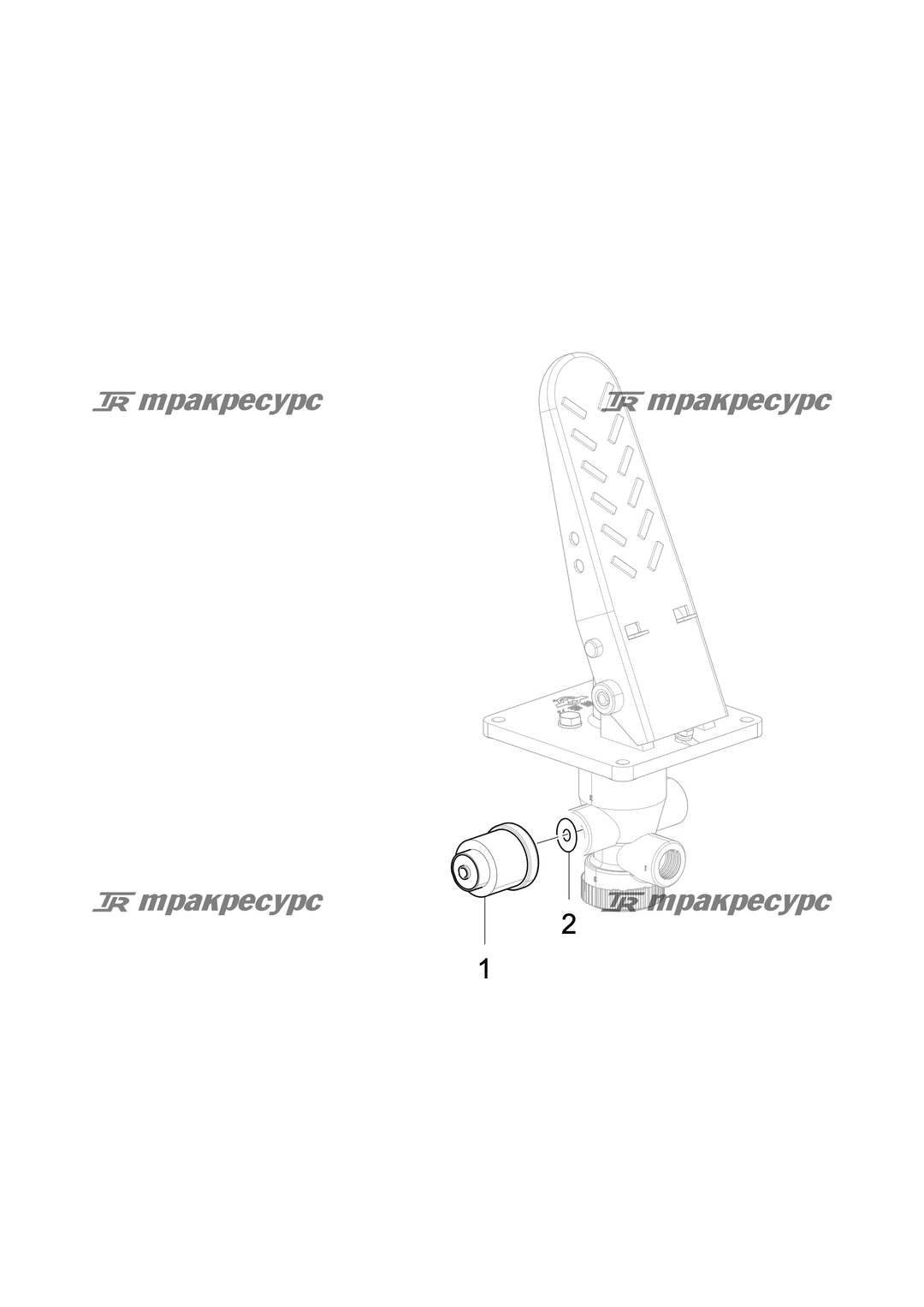 P000018962A2.png