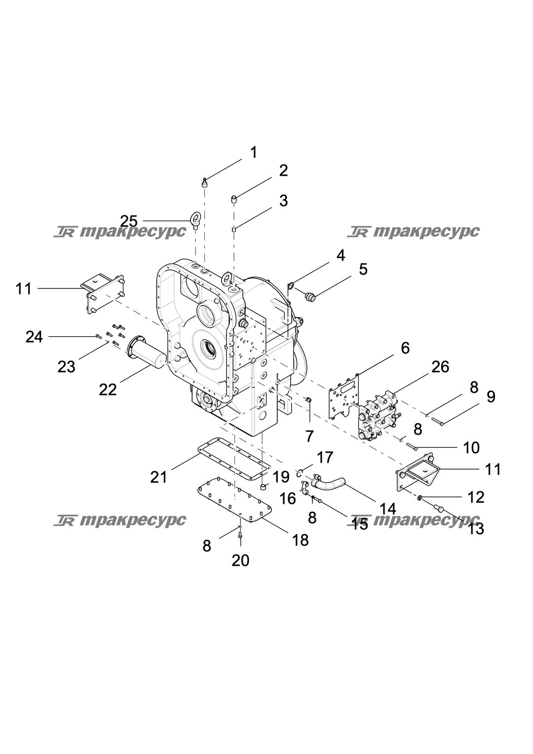 P000019923A3.png