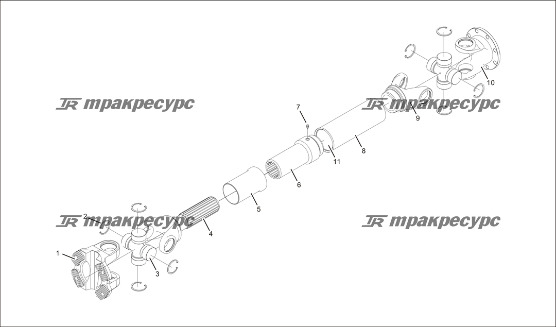 P000019.png