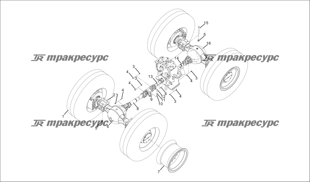P000019.png