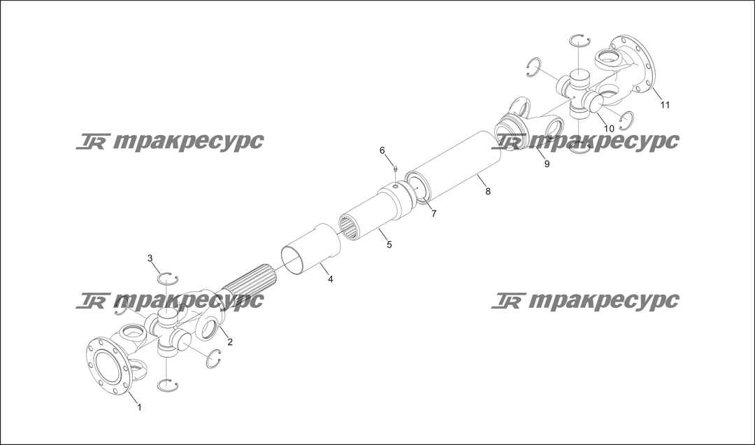 P000019.png