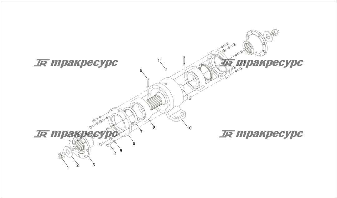 P000019.png