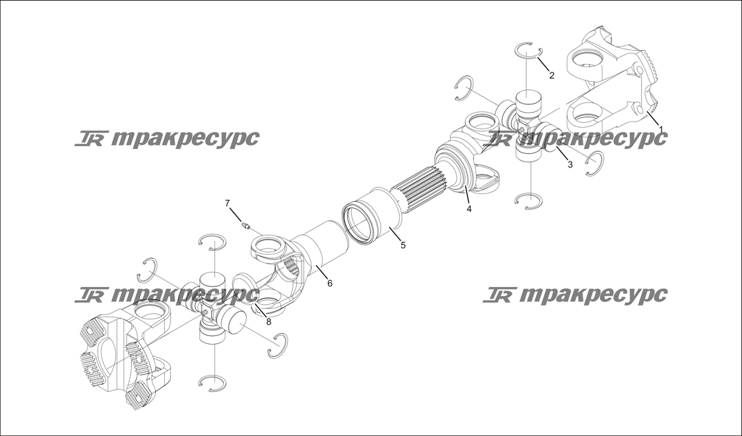 P000019.png