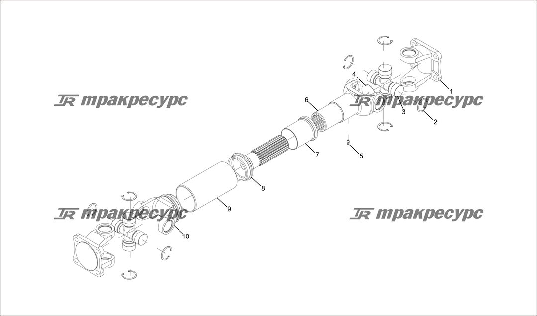 P000019.png