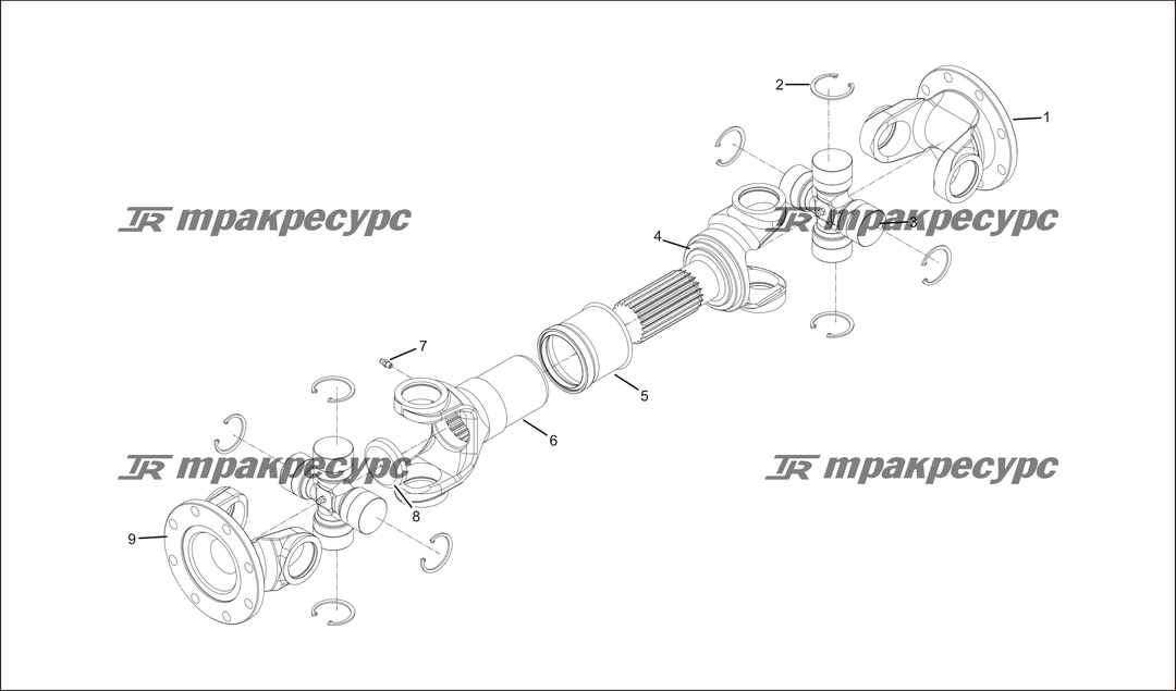 P000019.png
