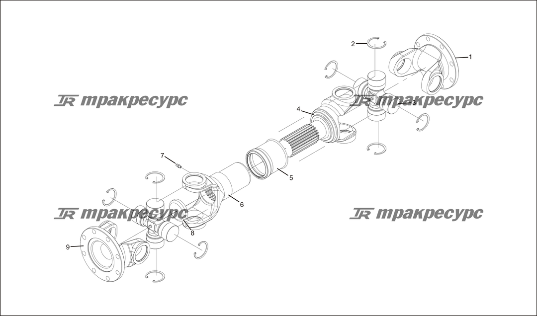 P000019.png