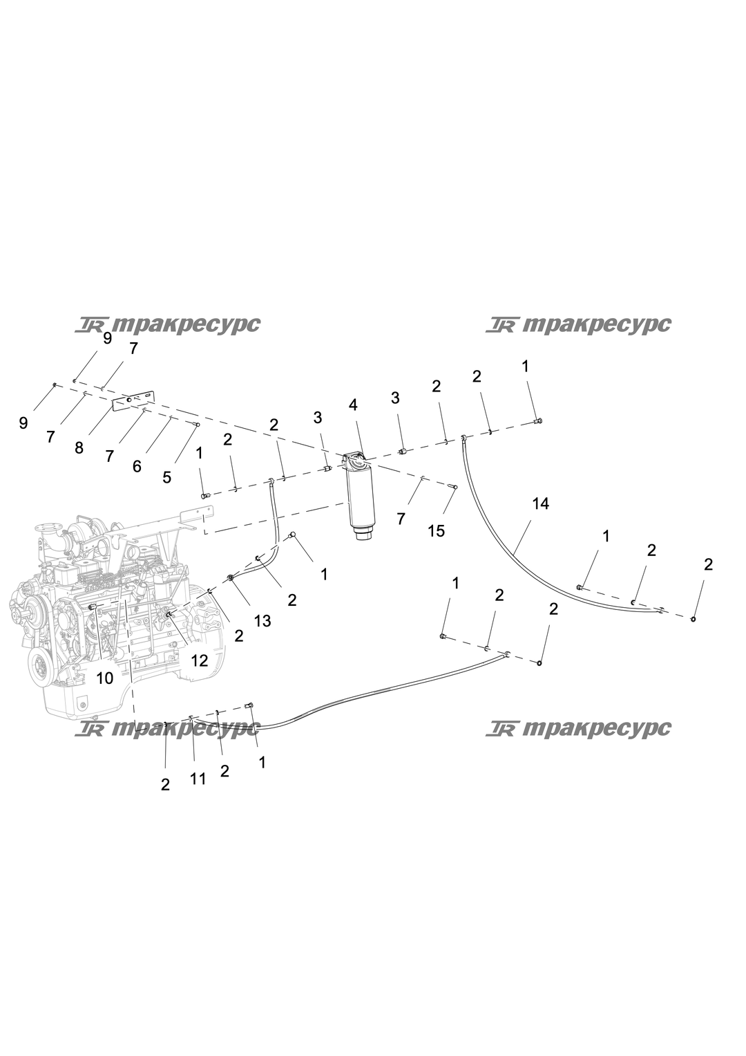 P000020922A2.png
