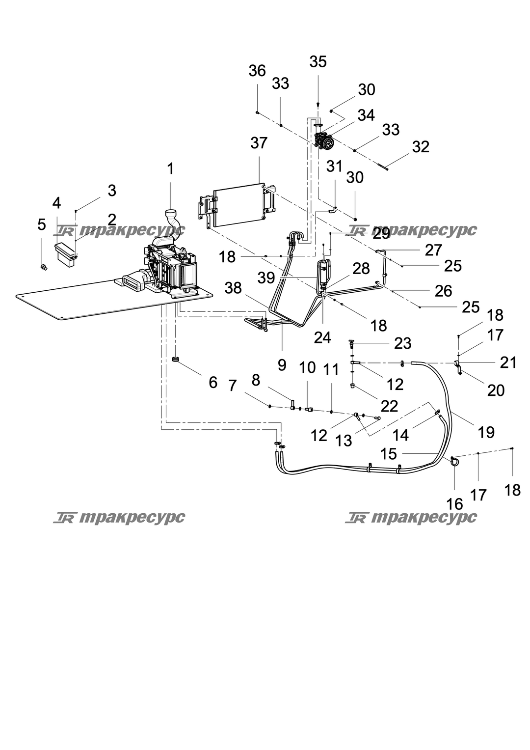 P000021923A6.png
