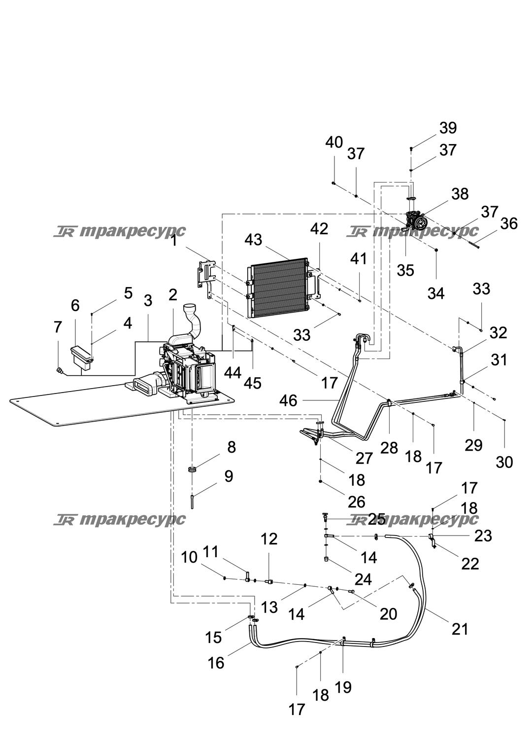 P000021942A6.png
