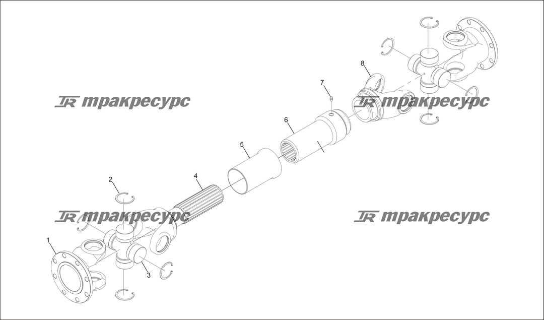 P000021.png