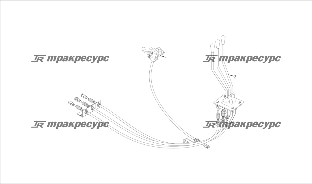 P000021.png