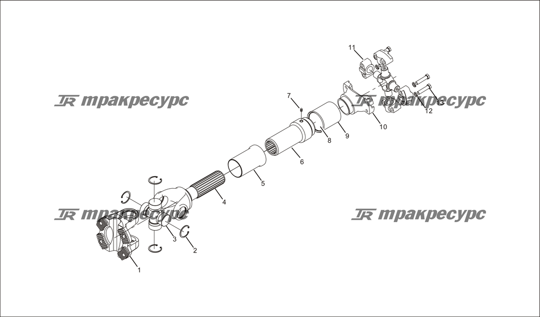 P000021.png