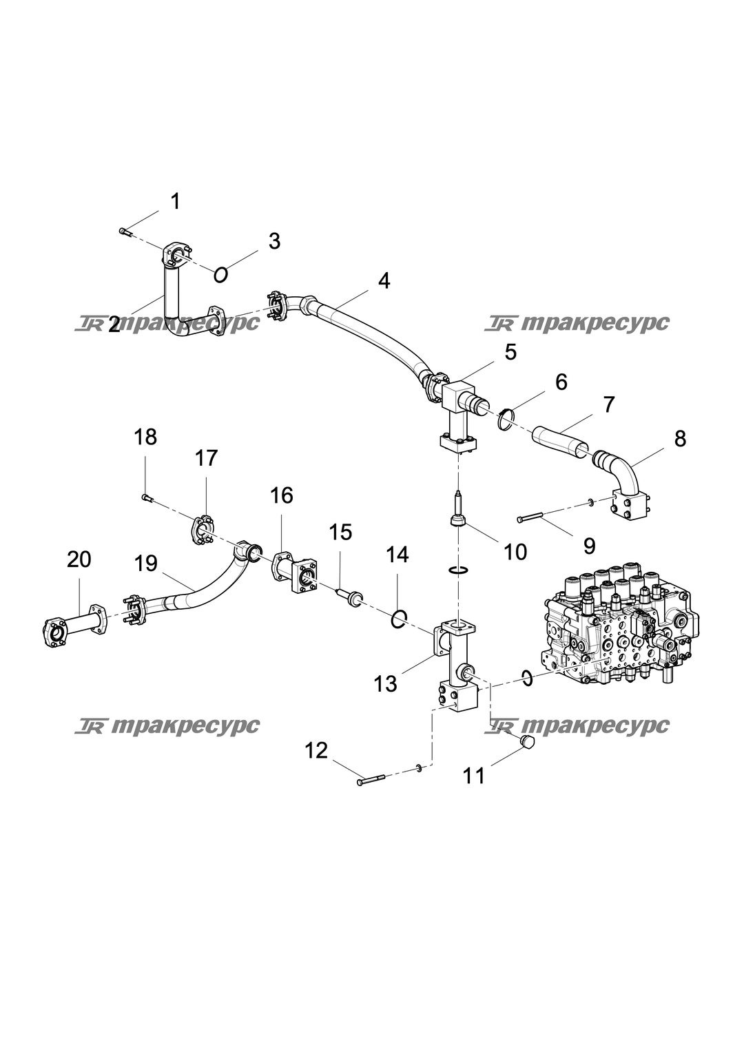 P000023323A2.png