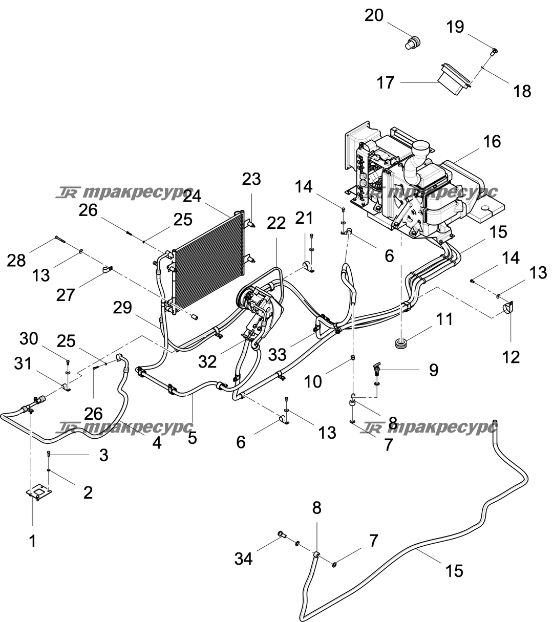 P000023542A4.png