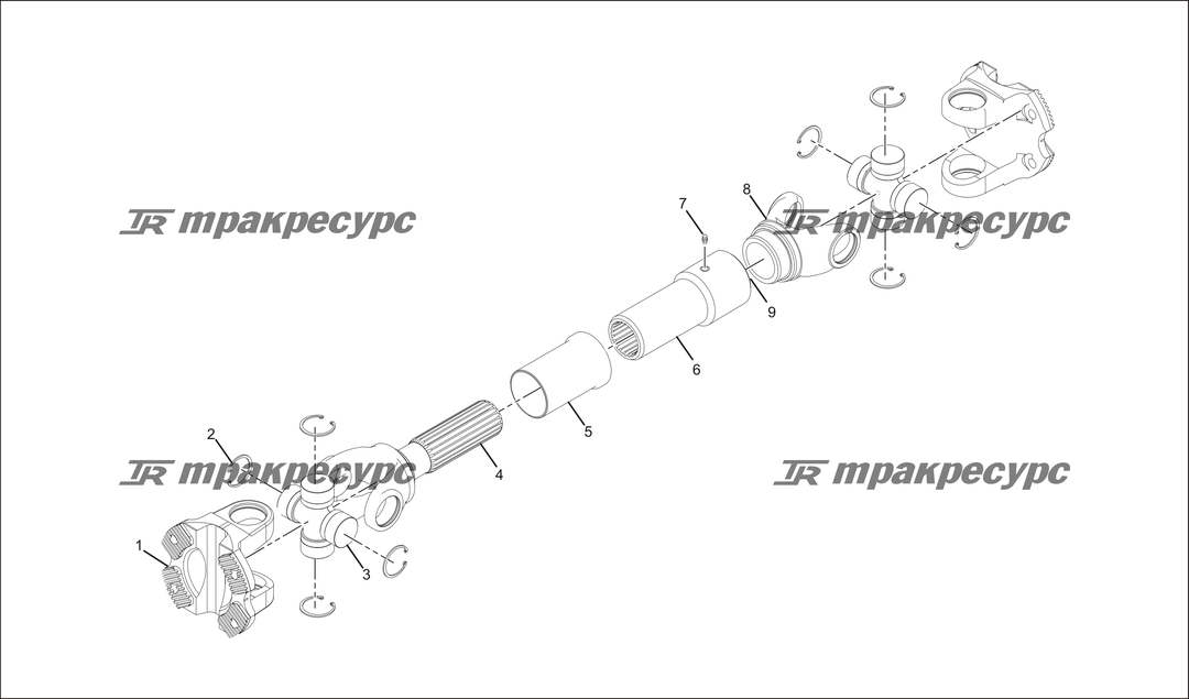 P000023.png
