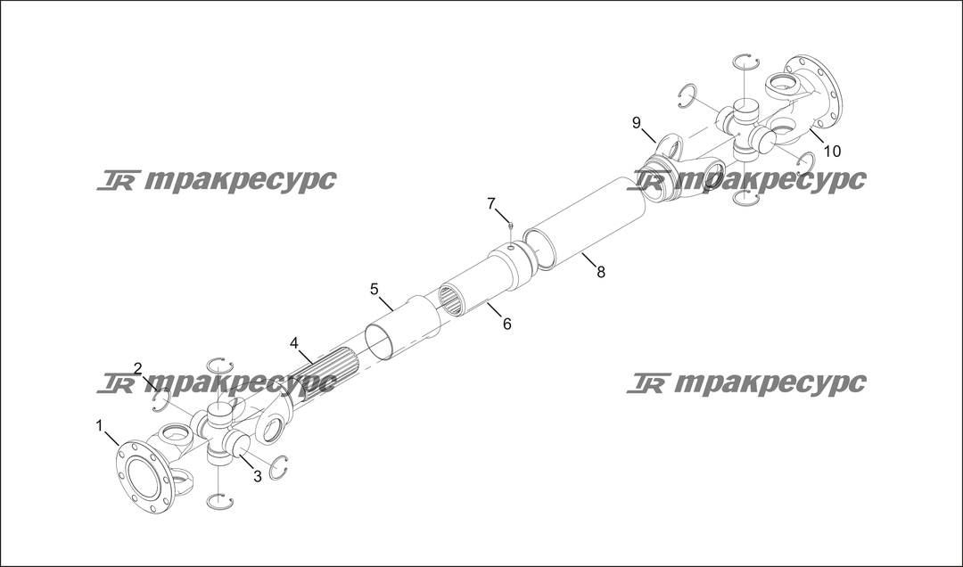P000023.png