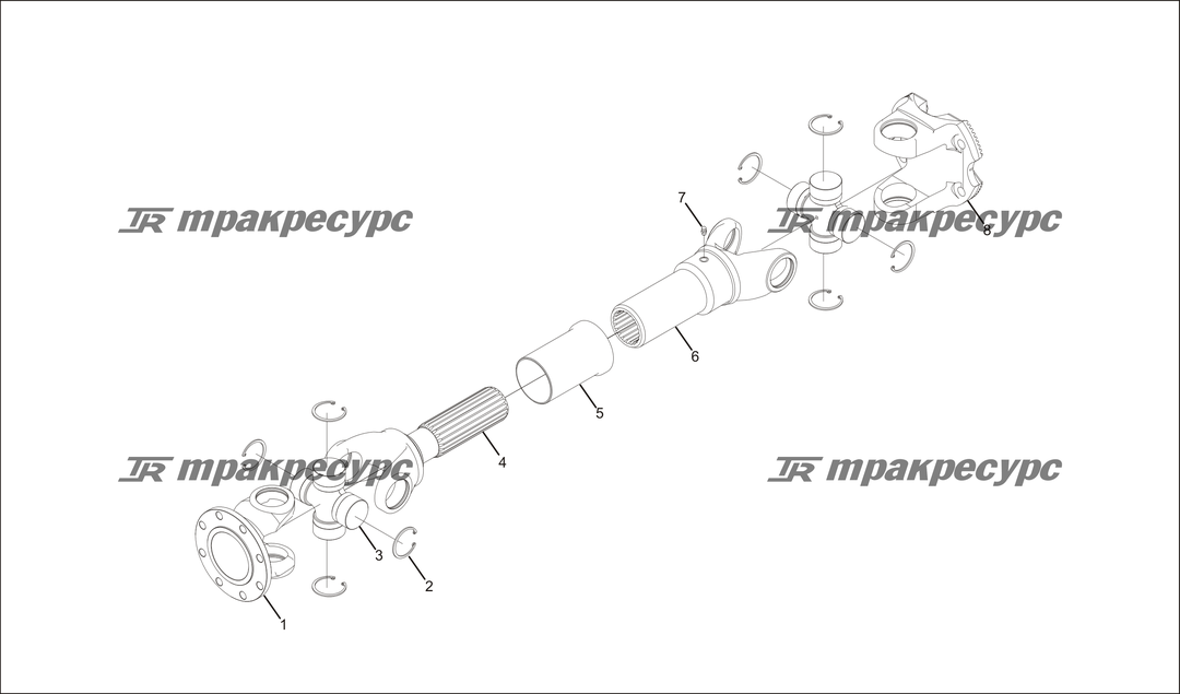 P000023.png