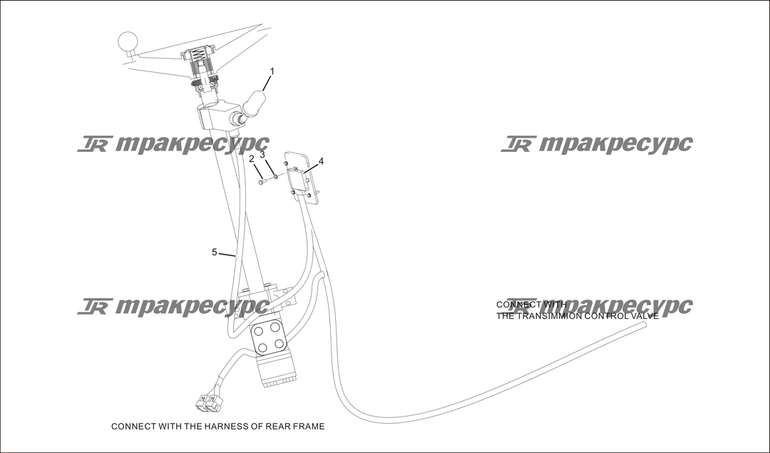 P000023.png