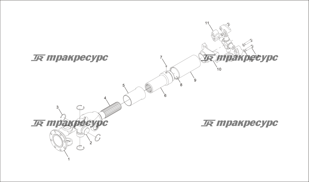 P000023.png