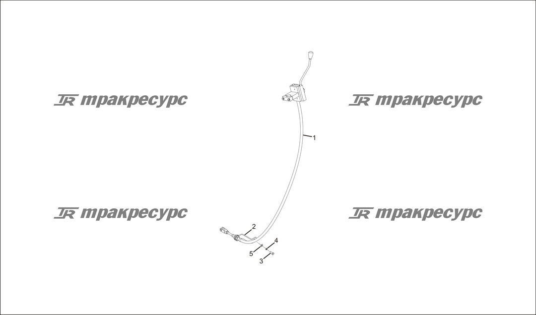 P000023.png