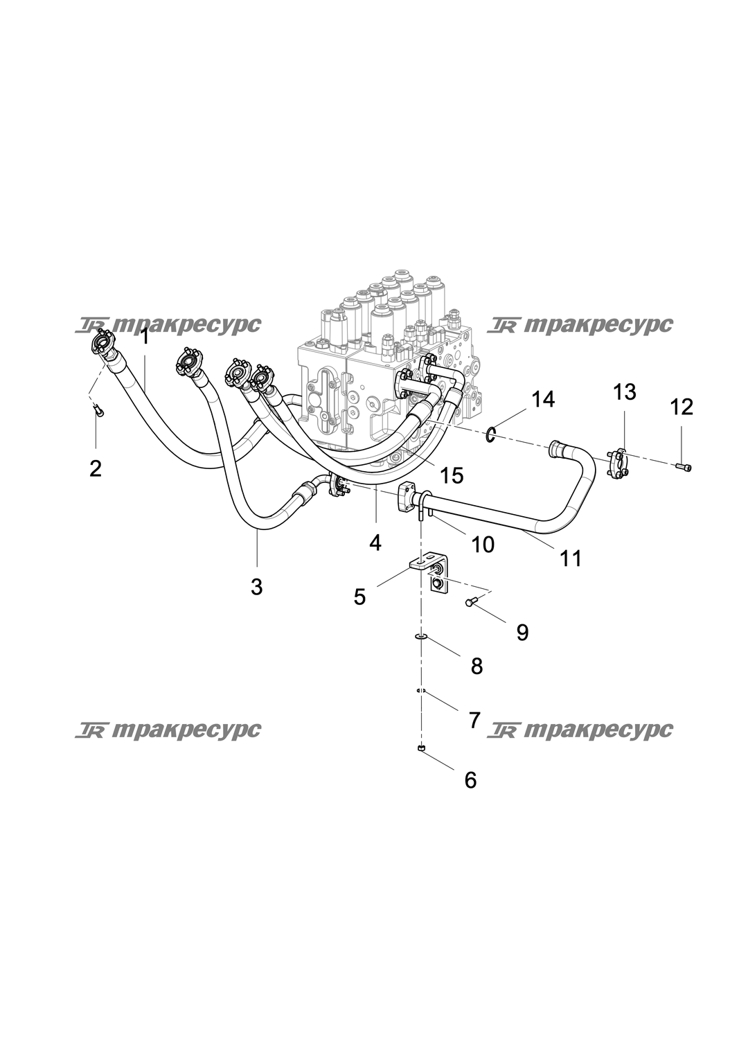P000024402A2.png