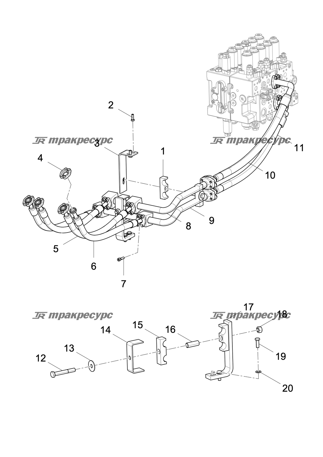 P000024403A2.png