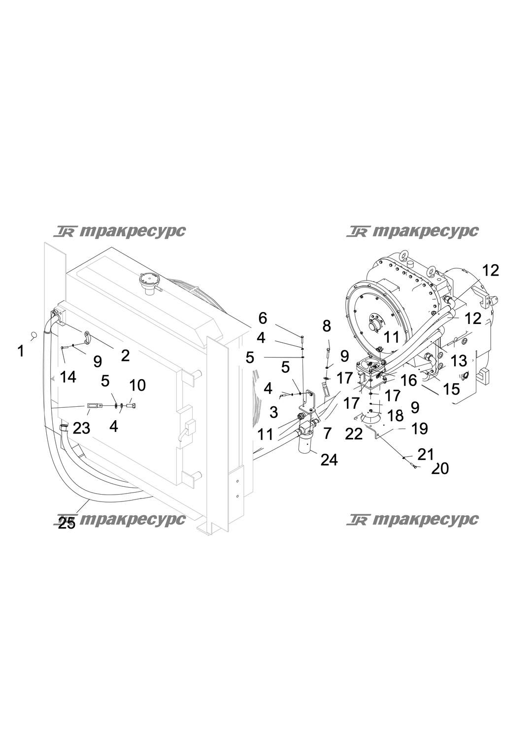 P000025003A2.png