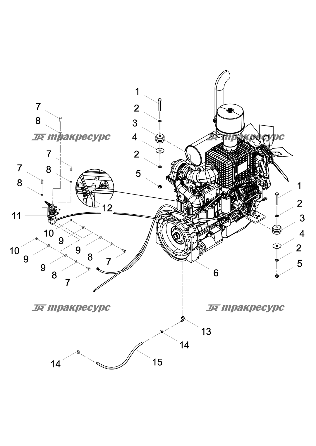 P000025303A2.png