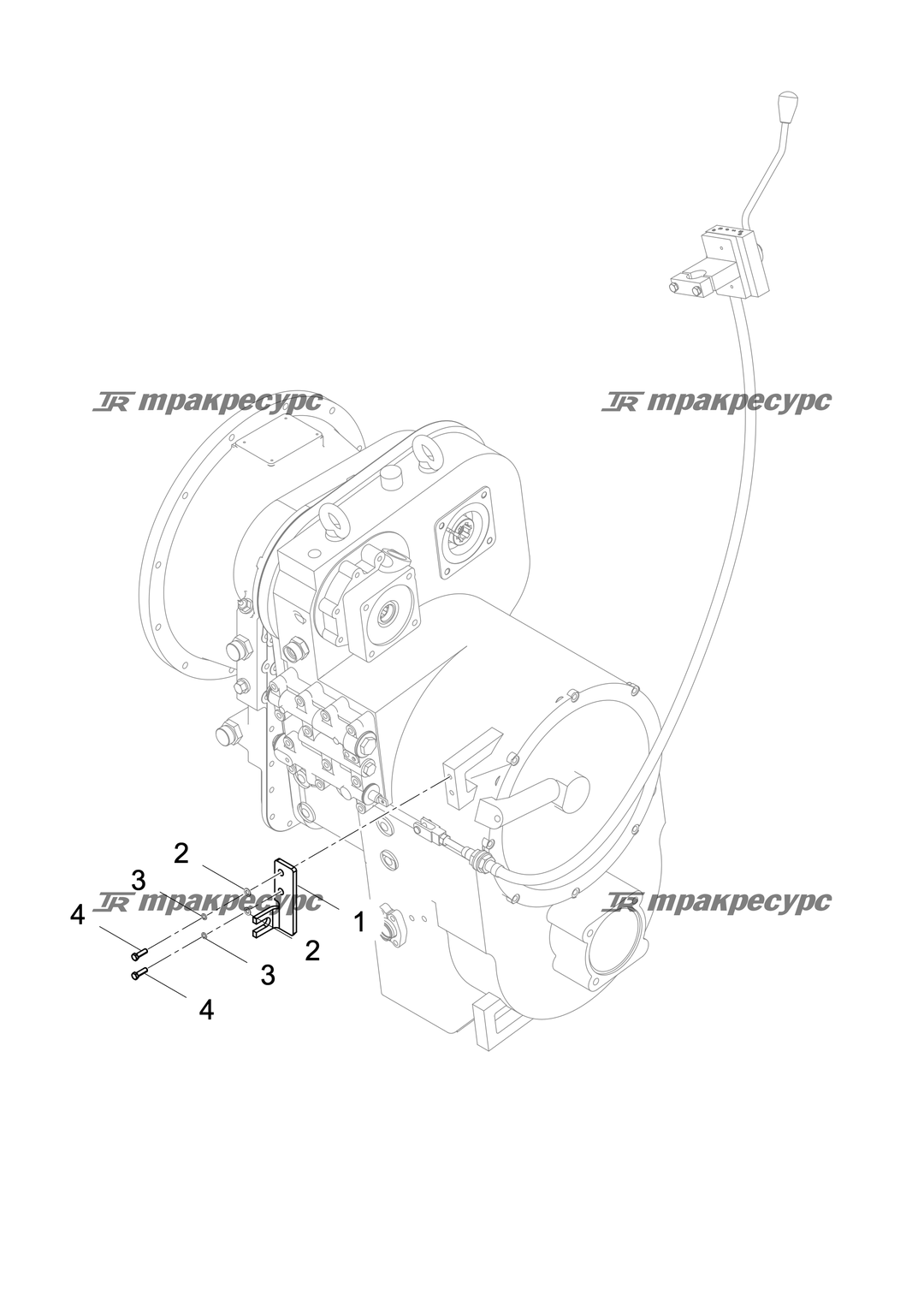 P000025323A2.png
