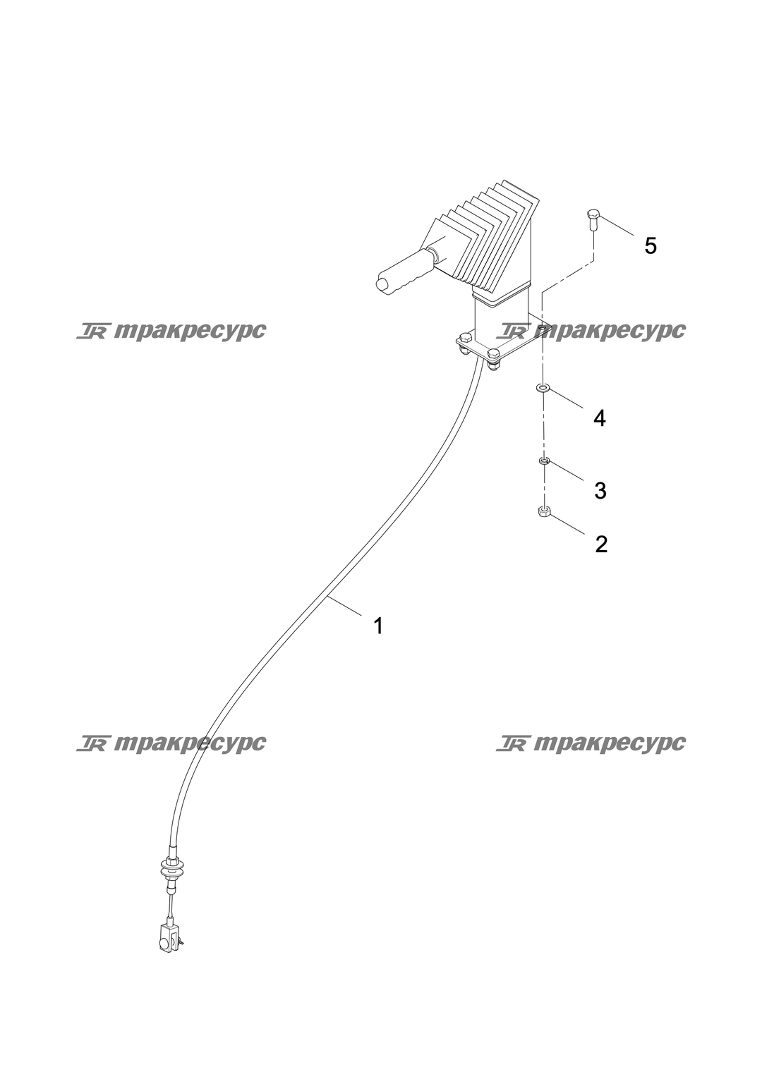 P000025527A2.png