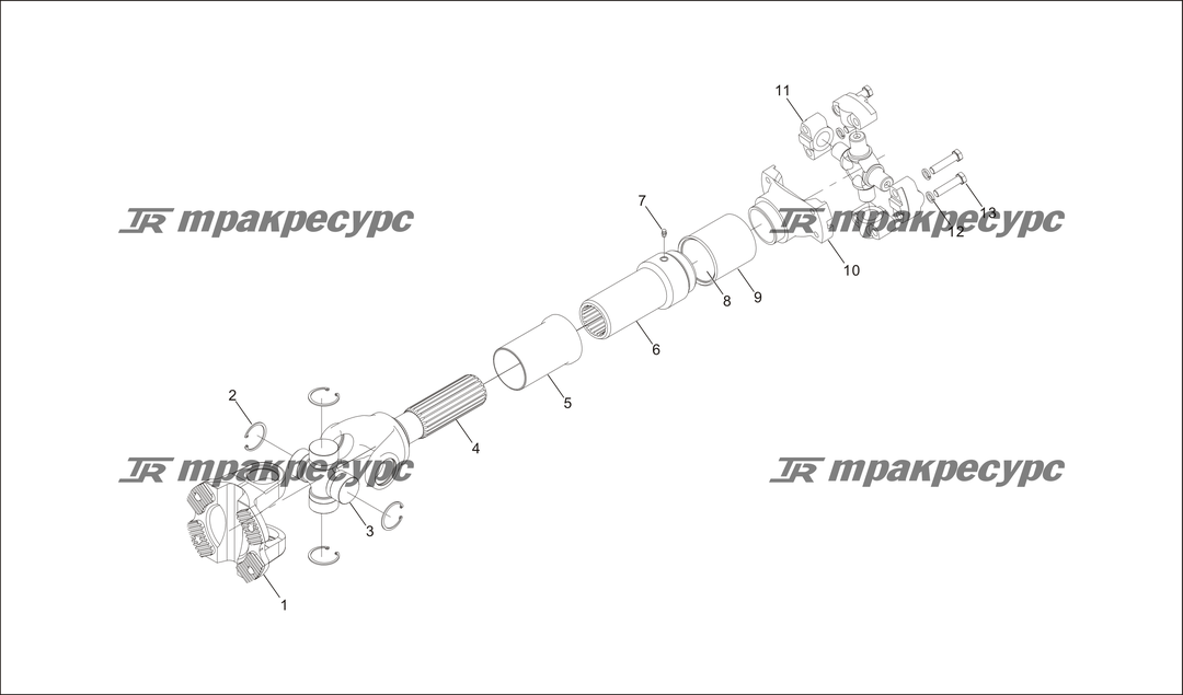 P000025.png