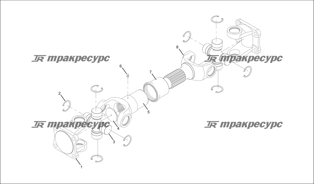 P000025.png